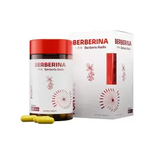 BERBERINA FORTLIFE 1500MG C/60CAPS - 800023018761